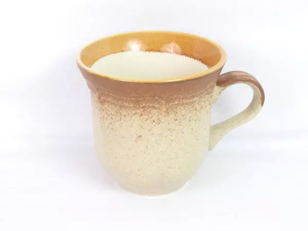 Mikasa Stoneware 3 Coffee Cups and 3 Saucers Whole Wheat Pattern E8000