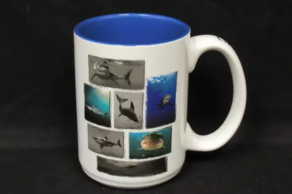 Chris Fallows Great White Shark Coffee Mug Glass Blue Ocean Sea