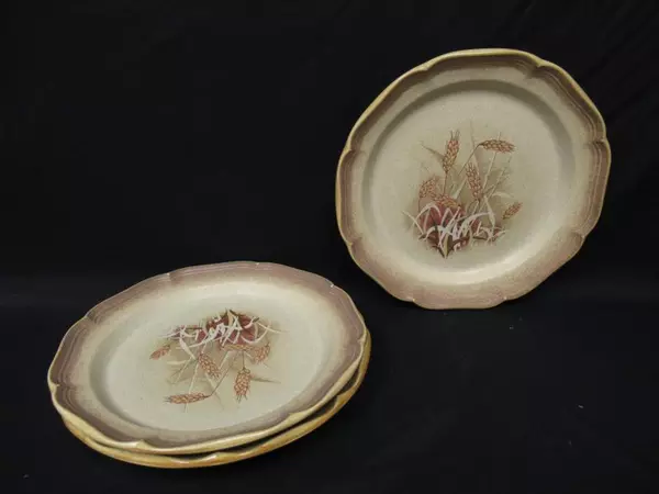 Lot of 2 Mikasa Stoneware Dinner Plates Whole Wheat 10.75 Inch E 8001