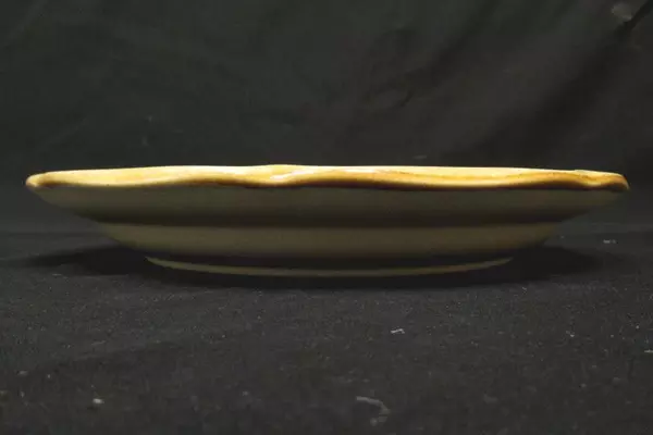 Lot of 2 Mikasa Stoneware Dinner Plates Whole Wheat 10.75 Inch E 8001
