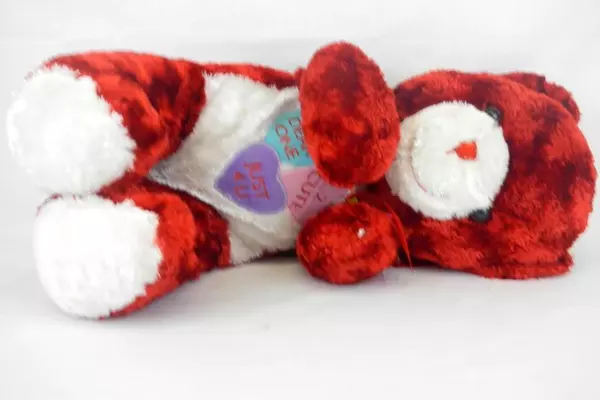 Dan Dee Red Teddy Bear Valentine's Day Love Romance Candy Hearts 22"