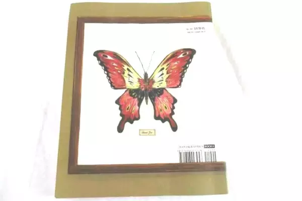 Fantagraphic Books Mome 22 Short Stories Graphic Novel