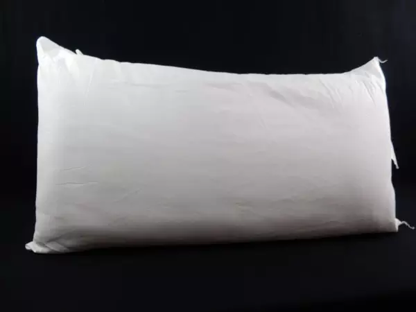Lot of 2 Carpenter Pillow Co King Size Bed Pillows 20 In X 36 Inch Polyester
