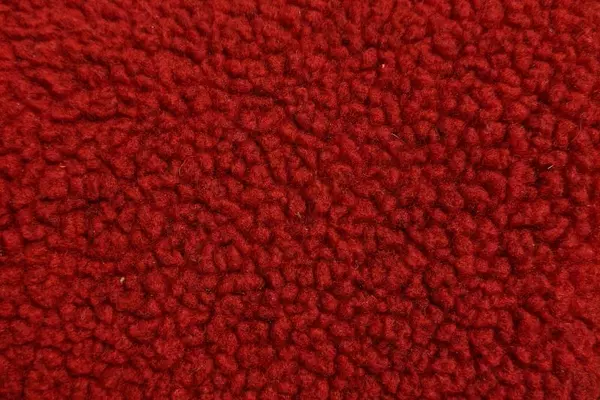 Vintage World Famous Sports Red Fleece Travel Blanket Roll Up Elastic Straps
