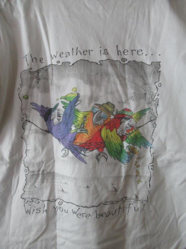 Jimmy Buffett Margaritaville Weather Is Here Wish You Were Beautiful Tee Sz S 98