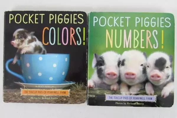 Lot of 2 Pocket Piggies Numbers Colors 2014 Workman Children Board Books