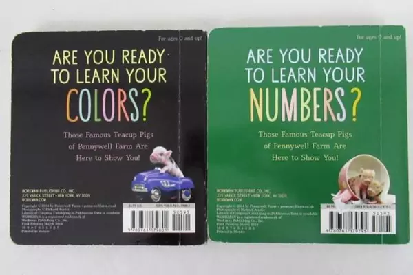 Lot of 2 Pocket Piggies Numbers Colors 2014 Workman Children Board Books