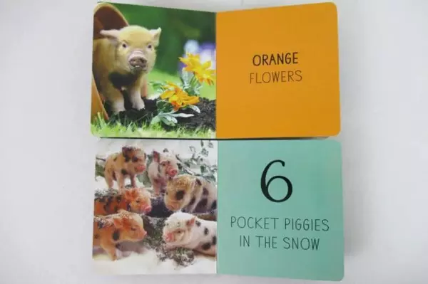 Lot of 2 Pocket Piggies Numbers Colors 2014 Workman Children Board Books