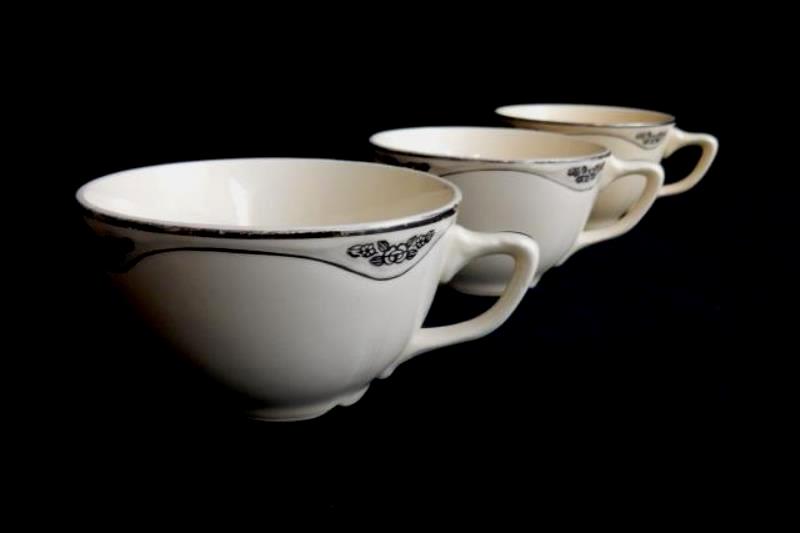 3 Vintage Homer Laughlin Virginia Rose Patrician Cups and Saucers