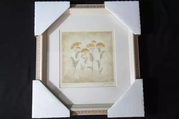 Framed Floral Art Print Yarrow by Janice M Brooks 11.75 x 12.75 In Rustic Ivory