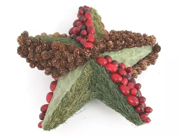 Nature Themed Star Christmas Table Or Shelf Decoration Pinecones Cranberries
