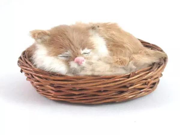 Soft Furry Sleeping Kitten In a Basket Realistic