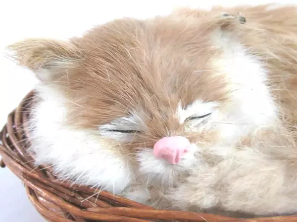 Soft Furry Sleeping Kitten In a Basket Realistic