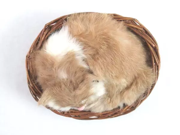 Soft Furry Sleeping Kitten In a Basket Realistic