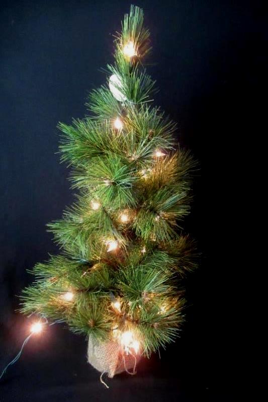 TII Collections 24" Artificial Pine Christmas Tree With Light String
