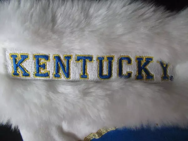 Plushland University of Kentucky Wildcats UK Stocking Faux Fur Blue Hanging