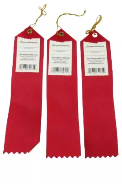 Lot of 3 The Diploma Mill Good Sport Award Ribbons USA Made Red