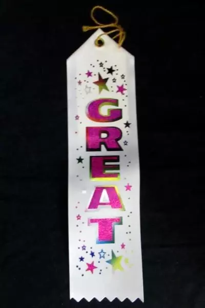 Lot of 5 Miscellaneous Award Ribbons Birthday Boy MVP Great Artist Diploma Mill
