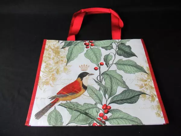 Lot of 2 Fringe Supply Co Reusable Tote Shopping Bags Bird Berries Floral Blue