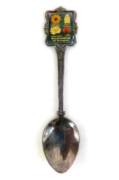 Lot of 2 Wyoming Souvenir Spoon Little America Equality State Wildflowers State