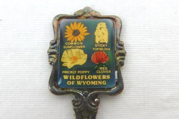 Lot of 2 Wyoming Souvenir Spoon Little America Equality State Wildflowers State