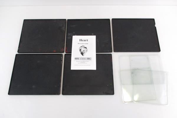 Home Science Tools Heart Dissection Guide Trays Experiment Learning Kids 8 Plus