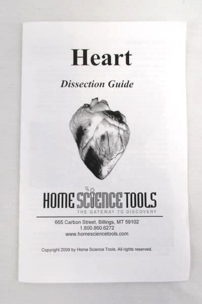Home Science Tools Heart Dissection Guide Trays Experiment Learning Kids 8 Plus