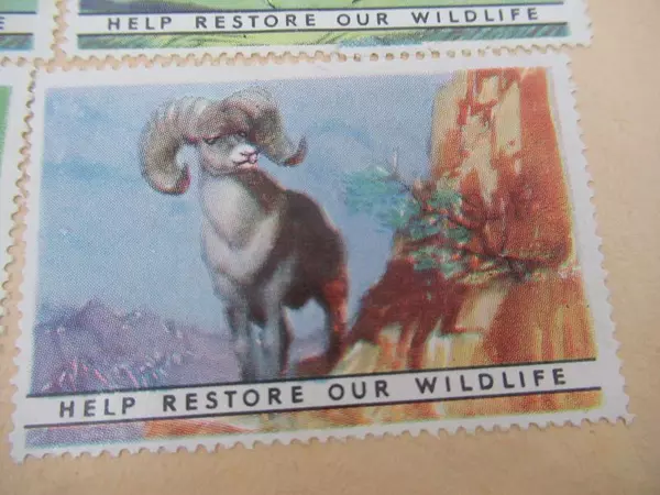 Lot of 84 USA Cinderellas Restore Our Wildlife Stamps on Paper Birds Animals