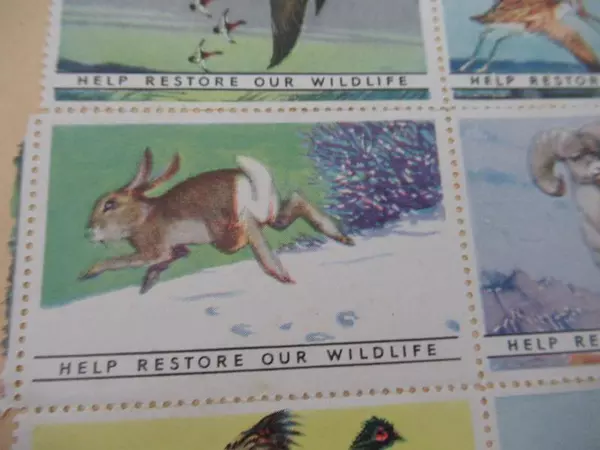 Lot of 84 USA Cinderellas Restore Our Wildlife Stamps on Paper Birds Animals