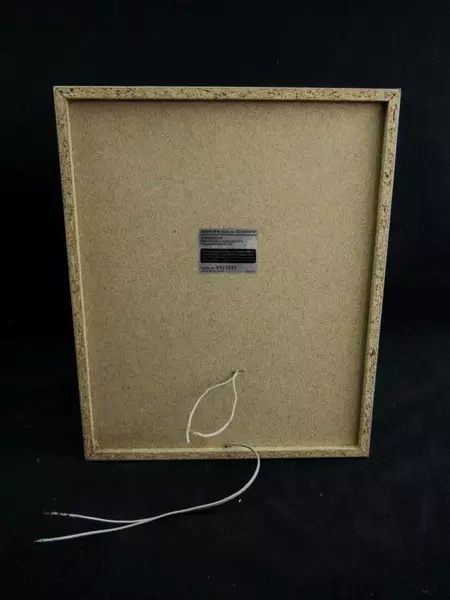 Sony Bass Speaker Silver SS-WMSP67 Home Theater Subwoofer