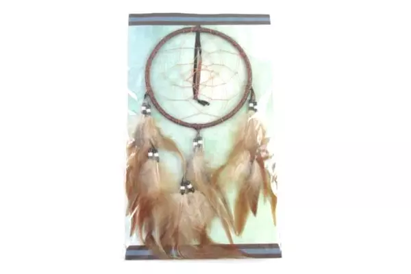 Legend of the Dream Catcher St Joseph's Indian School Good Bad Dreams Feathers