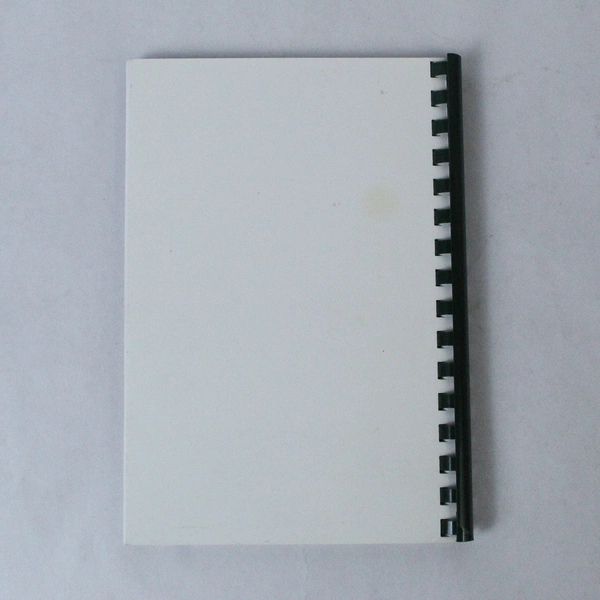 Recipes To Remember P.E.O. Sisterhood Chapter FH 2000 Cookbook Publishers PB