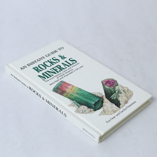 An Instant Guide to Rocks & Minerals Cecilia Fitzsimons Eva Fejer 1988 Hardcover