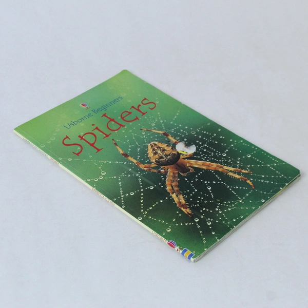 Usborne Beginners Spiders by R. Gilpin 2003 Hardcover Good Condition