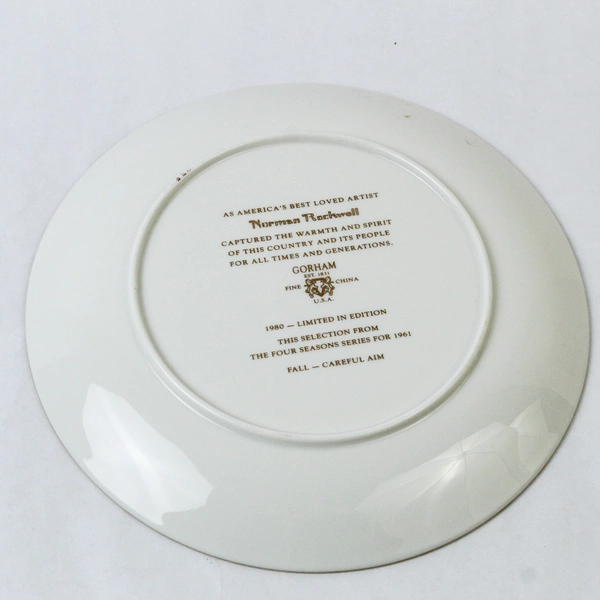 Norman Rockwell Collectors Plate Limited Edition 1980 Fall Careful Aim Decor