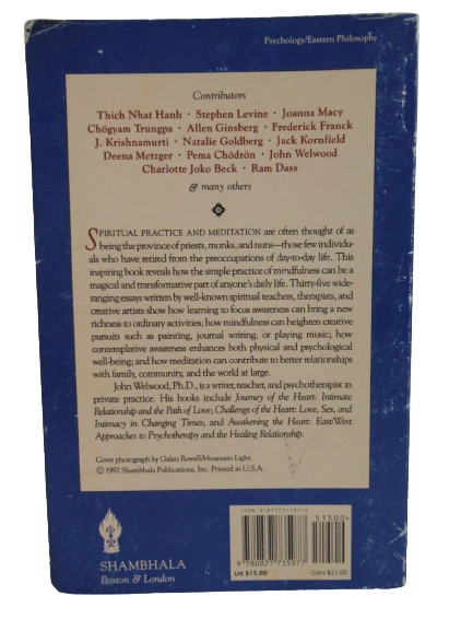 Ordinary Magic by John Welwood Everyday Life as Spiritual Path 1992 PB