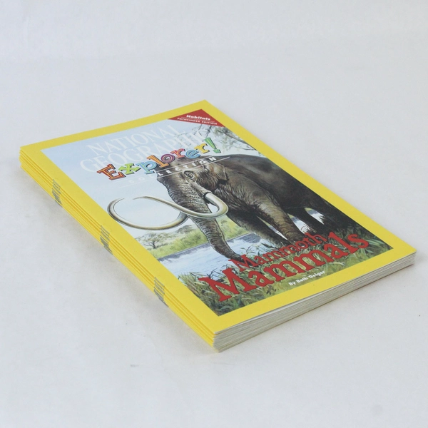 Lot of 11 Mammoth Mammals National Geographic Explorer 2007 Pathfinder Edition