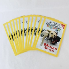 Lot of 12 Dogs At Work National Geographic Explorer Coll 2007 Pathfinder Edition