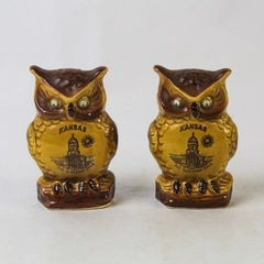 Kitsch Vintage Googly Eye Owl Kansas Fountain Souvenir Salt and Pepper Set