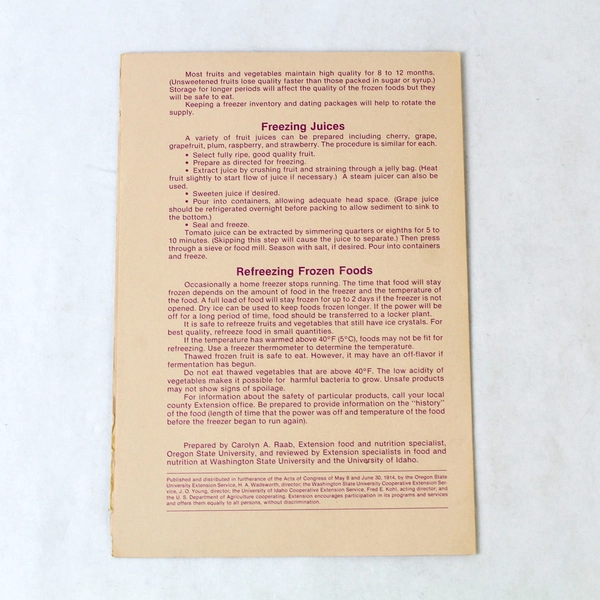 Freezing Fruits and Vegetables Vintage June 1981 Folded Paper Guide