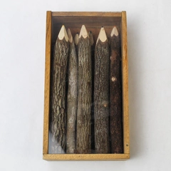Twig Branch Colored Coloring Pencils New in Box Tamarind Trees Set Of 10