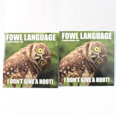 Lot of 2 Willow Creek Press Fowl Language 18 Month Bird Calendar for 2024 