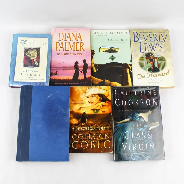Lot of 7 Mixed Female Novels The Postcard Looking Glass Tailspin & More