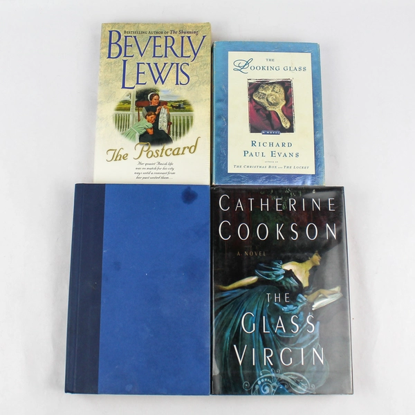 Lot of 7 Mixed Female Novels The Postcard Looking Glass Tailspin & More