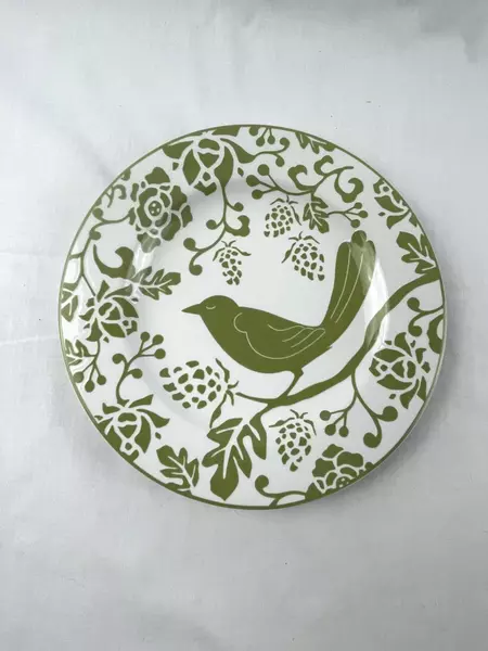 Set of 2 Pier 1 Salad Side Dessert Plates Yellow Green White Bird Pattern 2008