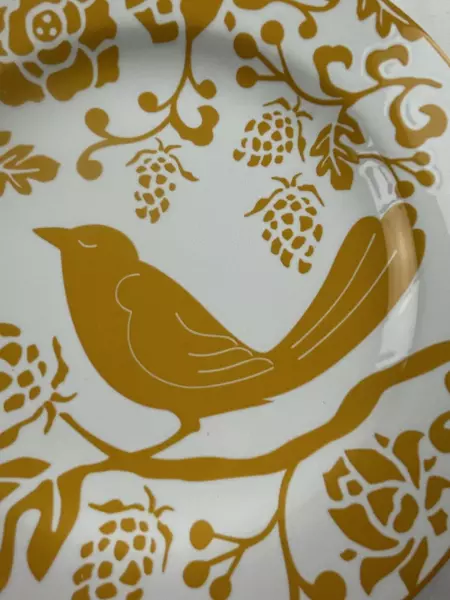 Set of 2 Pier 1 Salad Side Dessert Plates Yellow Green White Bird Pattern 2008