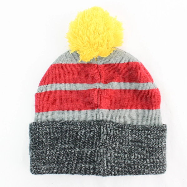 Bioworld Harry Potter Gryffindor Knit Beanie Hat with Pom Pom Adult One Size