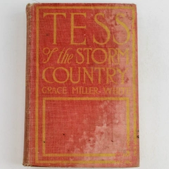 Tess of the Storm Country by Grace Miller White 1909 Hardcover Book
