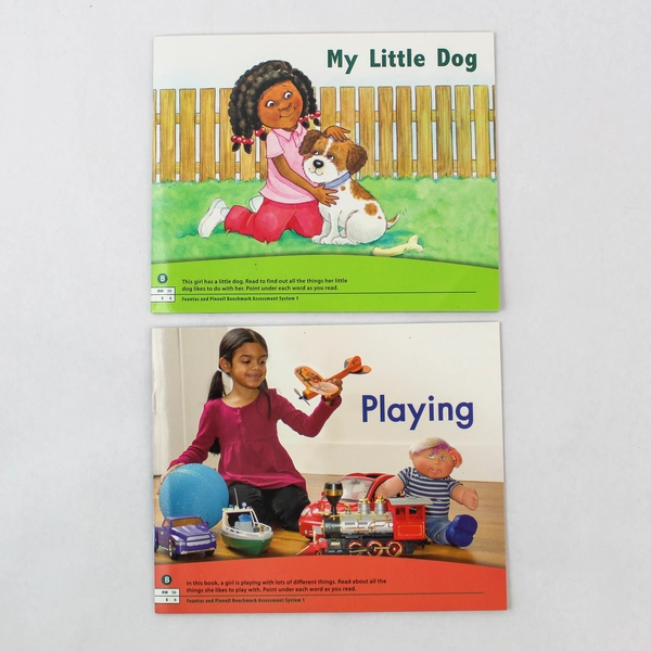 Lot of 2 Heinemann Easy Level Books Playing & My Little Dog Educational