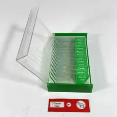 Set of Vintage Pre-Prepared Microscope Animal Specimen Slides